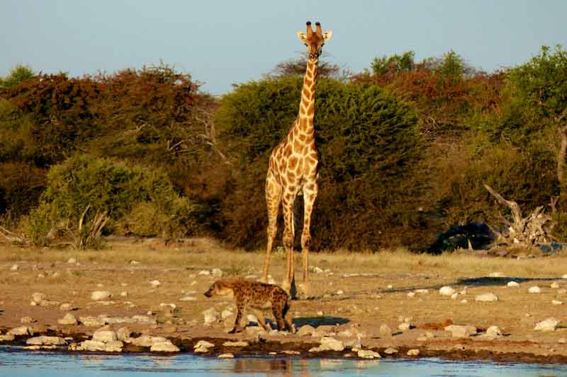 Namibia